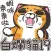 白爛貓19 動激動